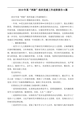 2019年某“两新”组织党建工作述职报告4篇.docx