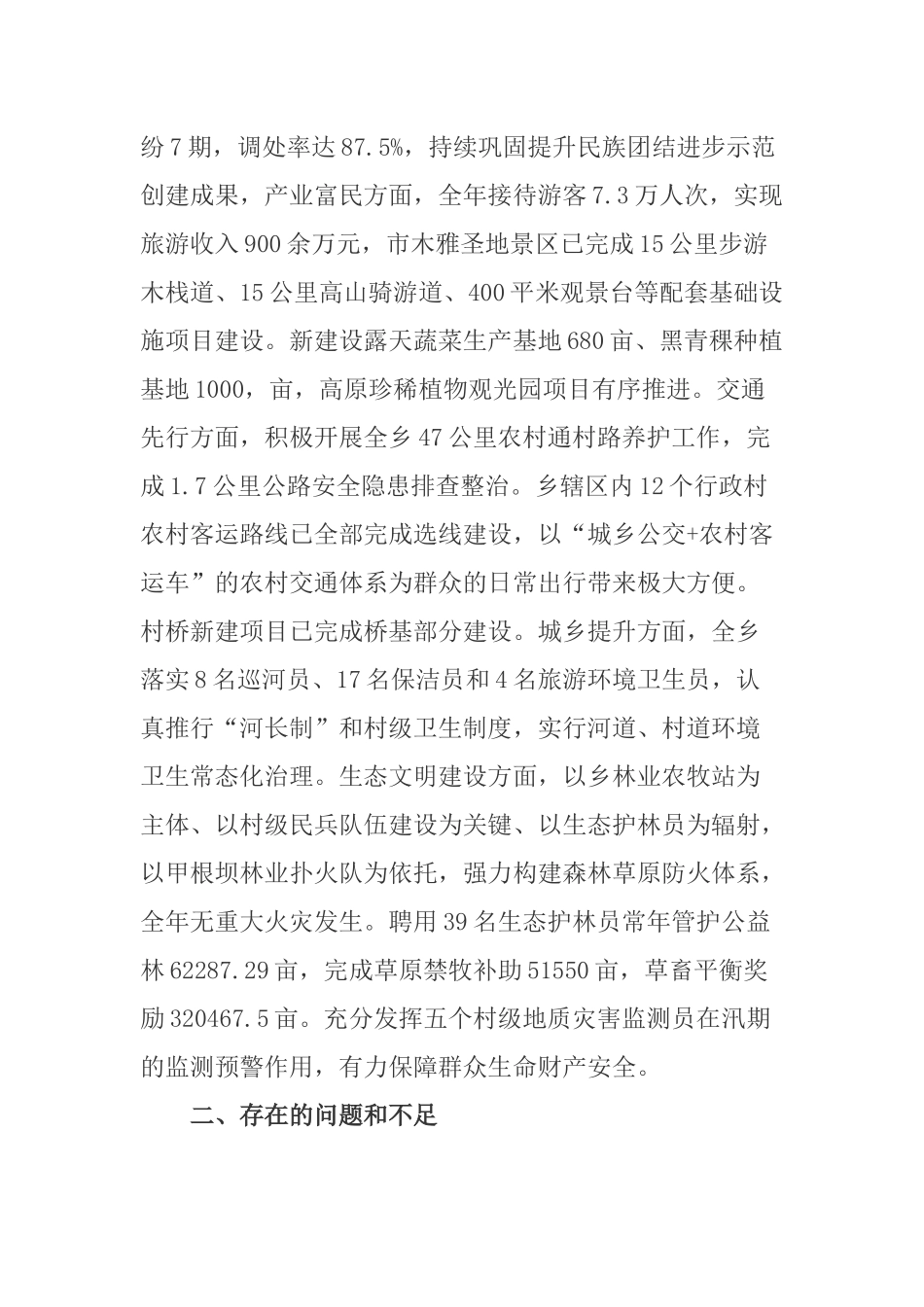 2020年乡开展“六大战略”责任体系工作总结.docx_第3页