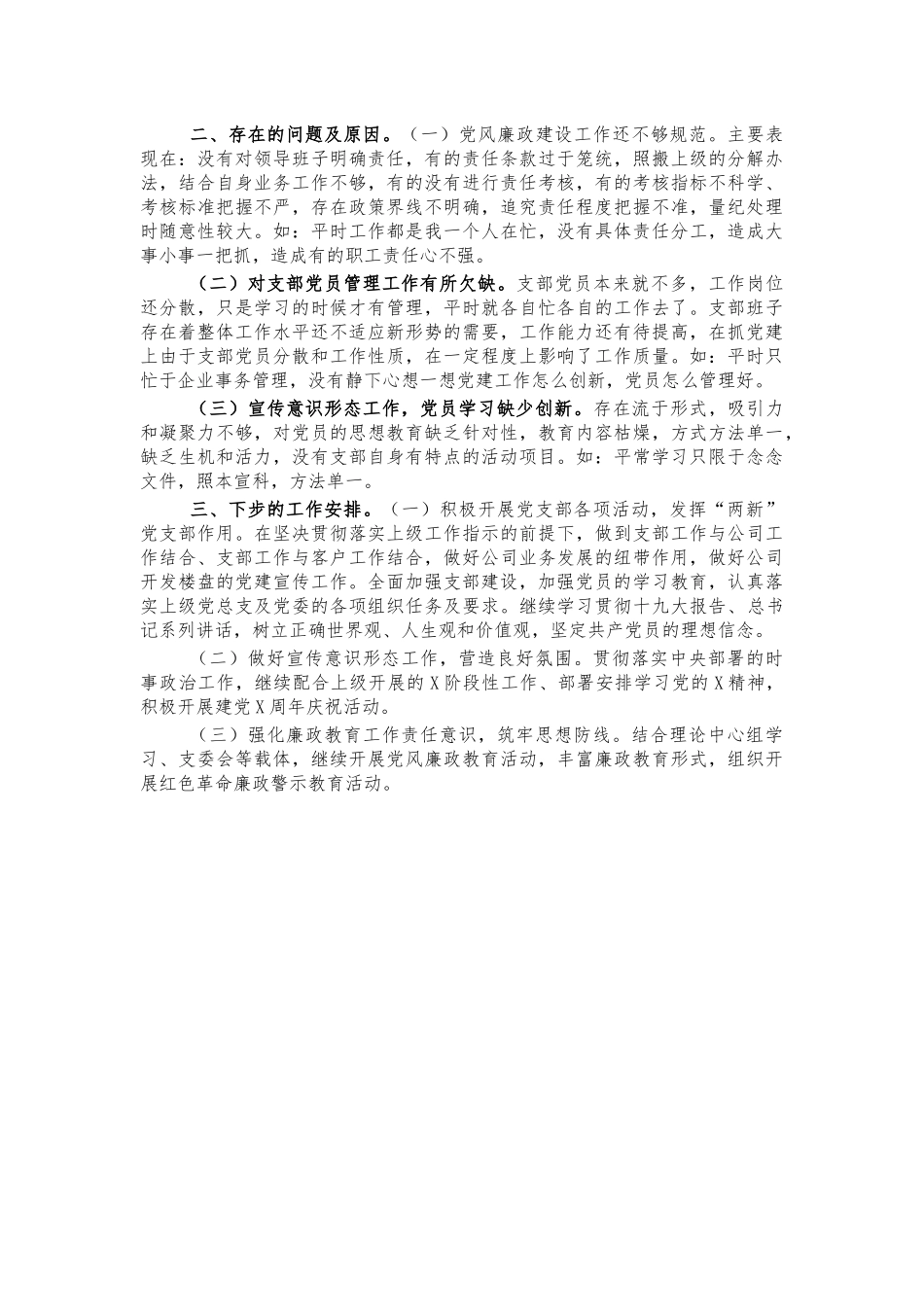 公司支部2020年述职报告.docx_第2页