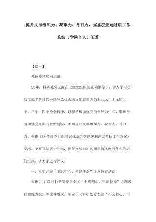 提升支部组织力、凝聚力、号召力抓基层党建述职工作总结（学院个人）五篇.docx
