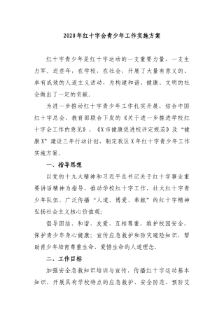 2020年红十字会青少年工作实施方案.docx
