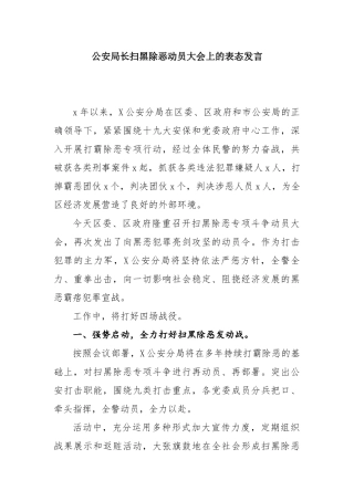 公安局长扫黑除恶动员大会上的表态发言.docx