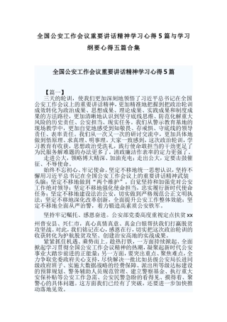 全国公安工作会议重要讲话精神学习心得5篇与学习纲要心得五篇合集.doc