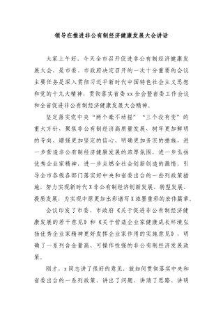 领导在推进非公有制经济健康发展大会讲话.docx