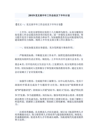 2019党支部半年工作总结及下半年计划.doc