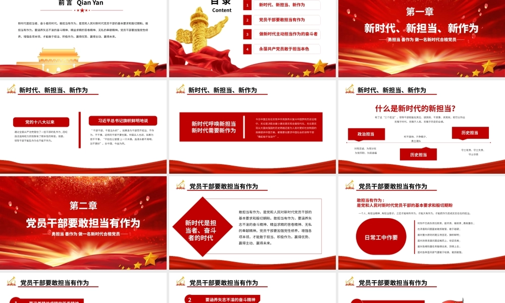 勇担当善作为做一名新时代合格党员党政党建党课PPT模板.pptx