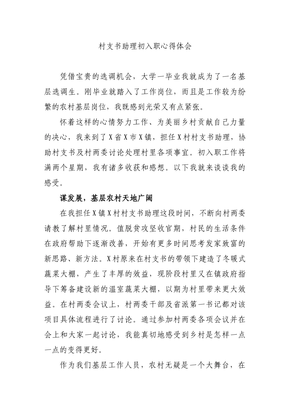 村支书助理初入职心得体会.docx_第1页