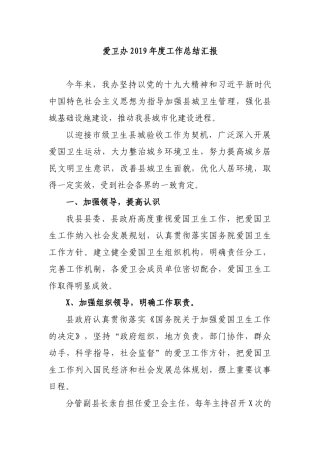 爱卫办2019年度工作总结汇报.docx