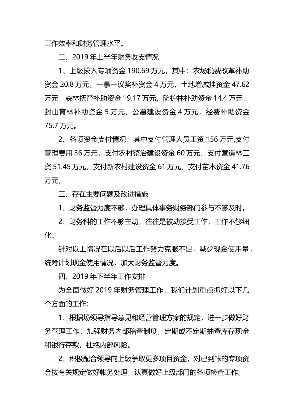 整理2019年财务上半年工作总结范文.docx_第2页