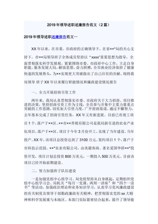 2019年领导述职述廉报告范文（2篇）.doc