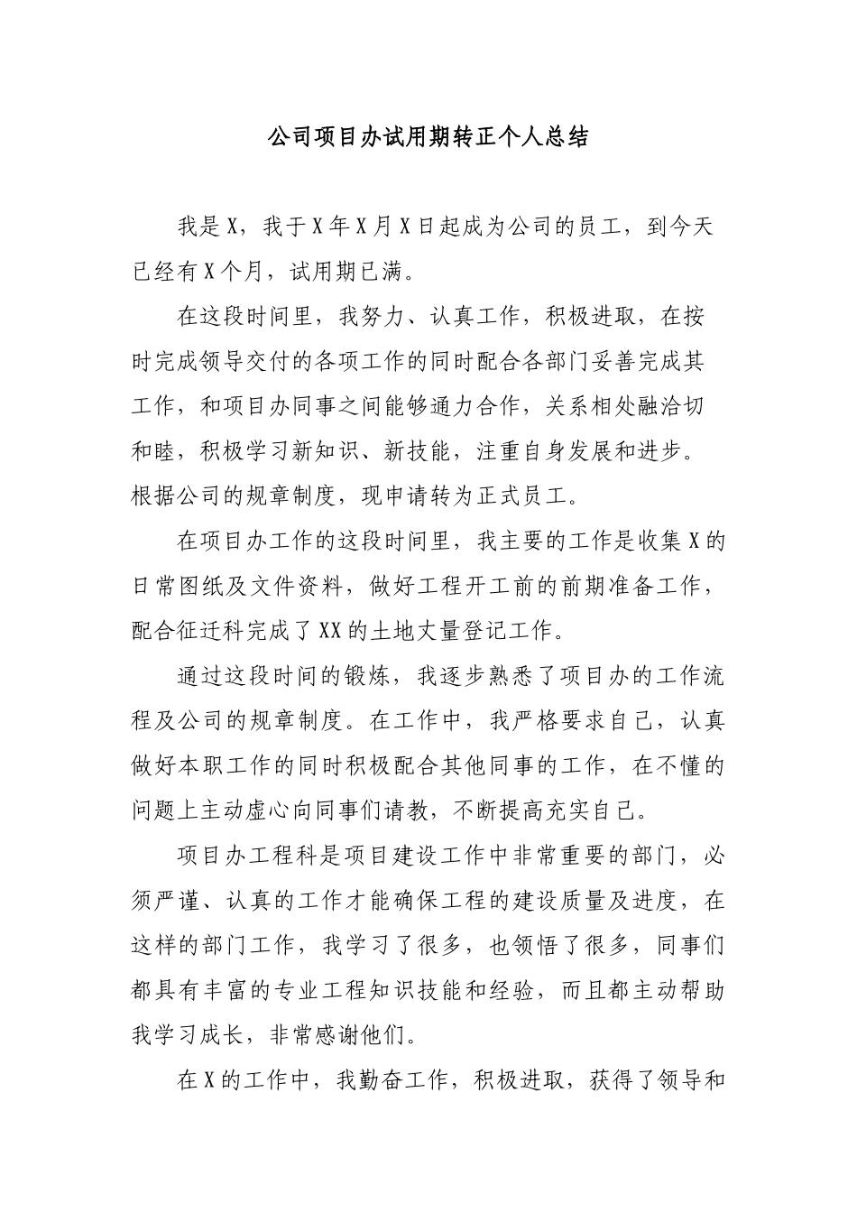 公司项目办试用期转正个人总结.docx_第1页