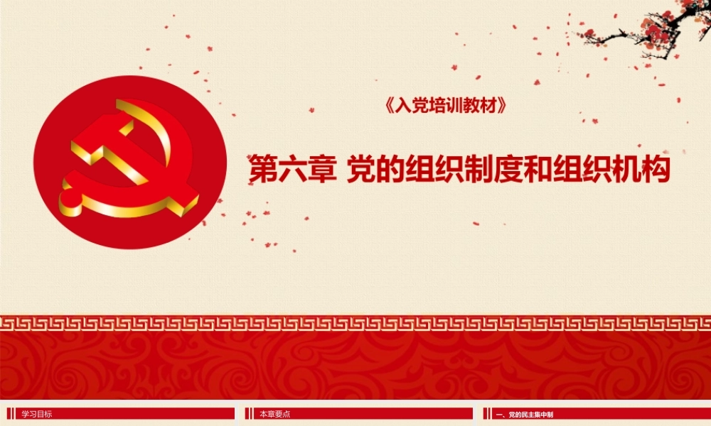党的组织制度和组织机构 入党培训教材.pptx