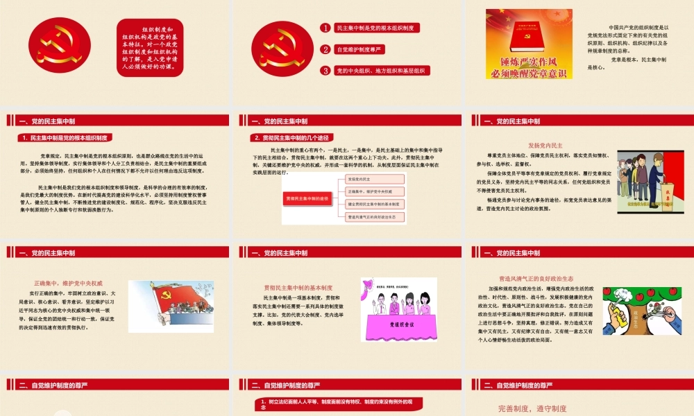 党的组织制度和组织机构 入党培训教材.pptx