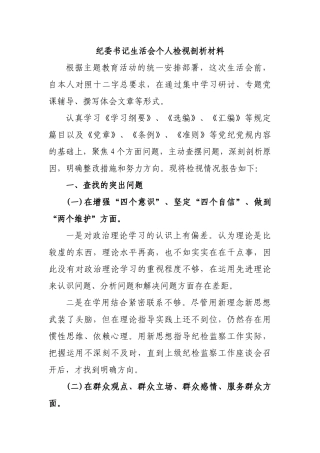 纪委书记个人检视剖析材料.docx