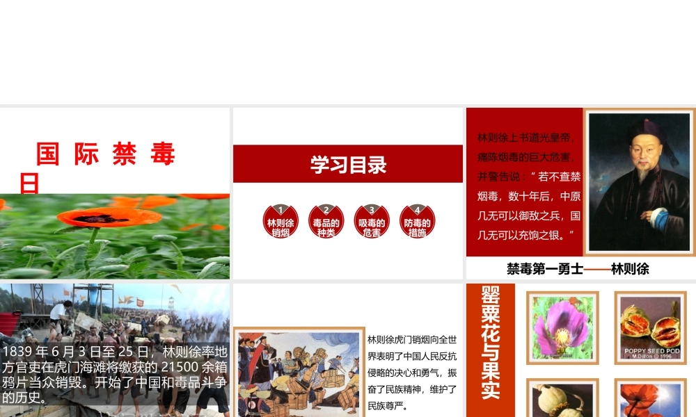 珍爱生命远离毒品主题班会精美课件PPT.pptx