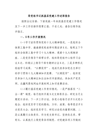 局党组书记抓基层党建工作述职报告.docx