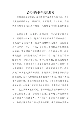 20XX年公司领导新年元旦贺词.docx