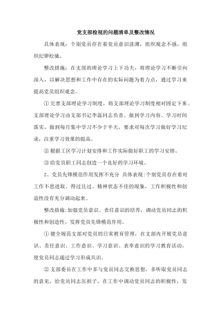党支部检视的问题清单及整改情况.docx