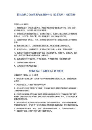医院院长办公室职责与纪委副书记（监察处长）岗位职责.docx