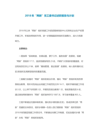 22018年“两新”党工委书记述职报告与计划.docx