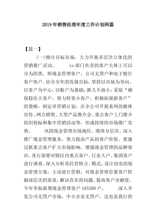 2019年销售经理年度工作计划两篇.doc