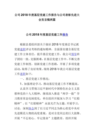 公司2018年度基层党建工作报告与公司表彰先进大会发言稿两篇.doc