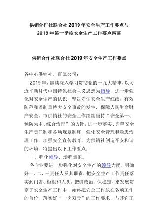 供销合作社联合社2019年安全生产工作要点与2019年第一季度安全生产工作要点两篇.doc