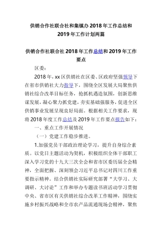 供销合作社联合社和集镇办202×年工作总结和2019年工作计划两篇.doc