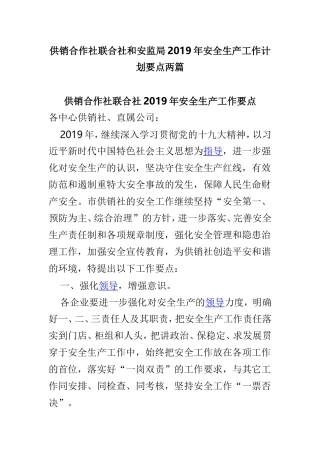 供销合作社联合社和安监局2019年安全生产工作计划要点两篇.doc