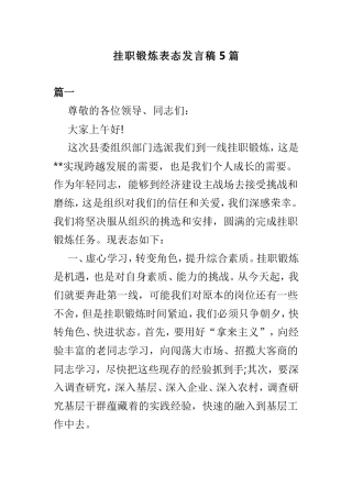 挂职锻炼表态发言稿5篇.doc