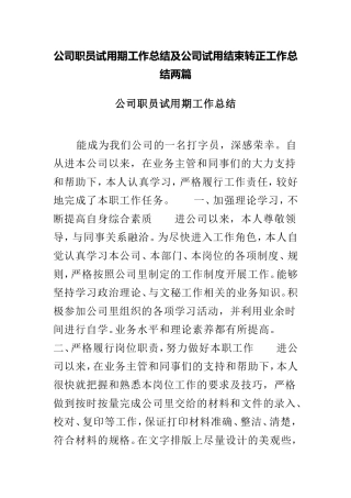公司职员试用期工作总结及公司试用结束转正工作总结两篇.doc
