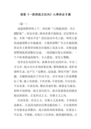 观看《一抓到底正纪风》心得体会5篇.doc