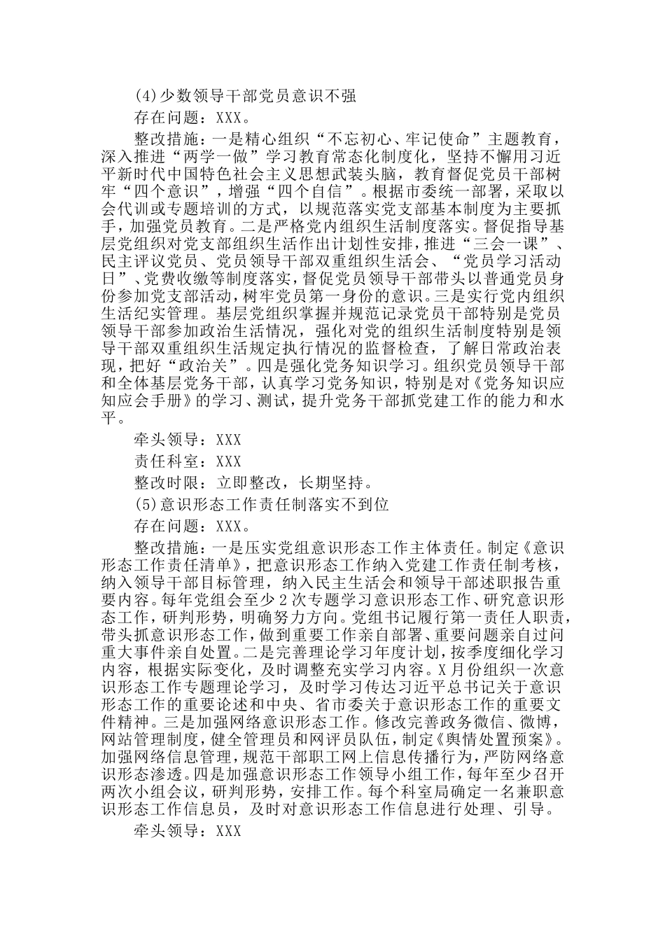 巡视整改工作方案.doc_第3页