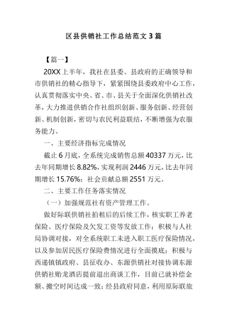 区县供销社工作总结范文3篇.doc