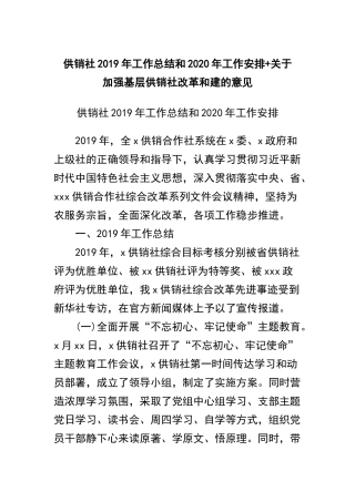 供销社2019年工作总结和2020年工作安排+关于加强基层供销社改革和建的意见.docx