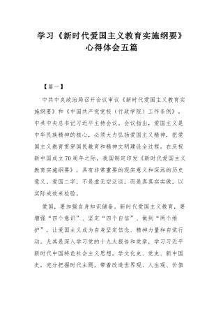 学习《新时代爱国主义教育实施纲要》心得体会五篇.docx
