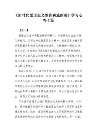 《新时代爱国主义教育实施纲要》学习心得4篇.doc
