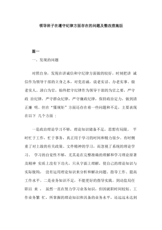 领导班子在遵守纪律方面存在的问题及整改措施版.docx