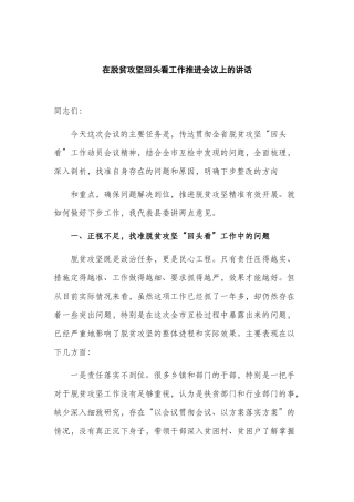 在脱贫攻坚回头看工作推进会议上的讲话.docx