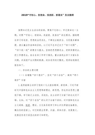 2019“守初心、担使命找差距、抓落实”发言提纲.docx