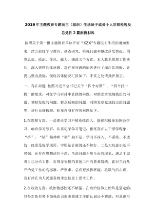 2019年主题教育专题民主（组织）生活班子成员个人对照检视反思党性2篇剖析材料.docx