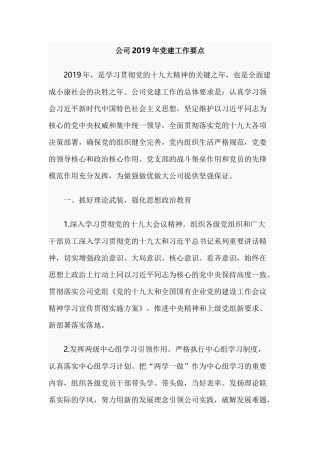 公司2019年党建工作要点.docx