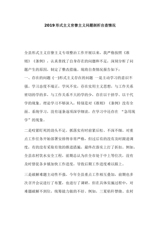 2019形式主义官僚主义问题剖析自查情况.docx