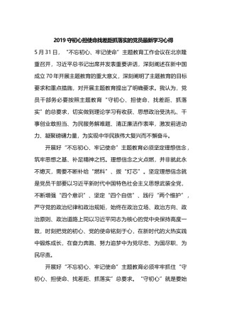 2019守初心担使命找差距抓落实的党员最新学习心得.docx