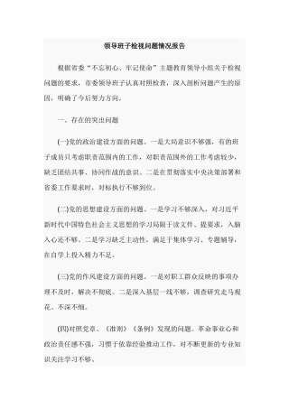 领导班子检视问题情况报告.docx