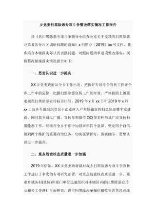 乡党委扫黑除恶专项斗争整改落实情况工作报告.docx