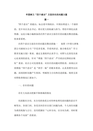 牢固树立“四个意识”方面存在的问题3篇.docx