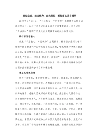 践行宗旨、担当作为查找差距、抓好落实发言提纲.docx