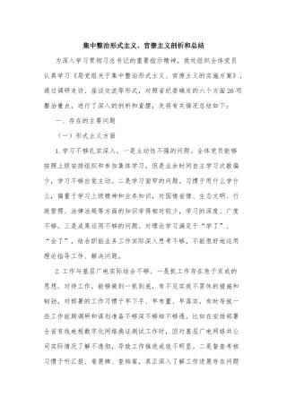 集中整治形式主义、官僚主义剖析和总结.docx