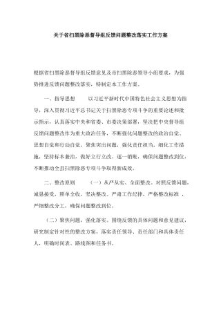 关于省扫黑除恶督导组反馈问题整改落实工作方案.docx